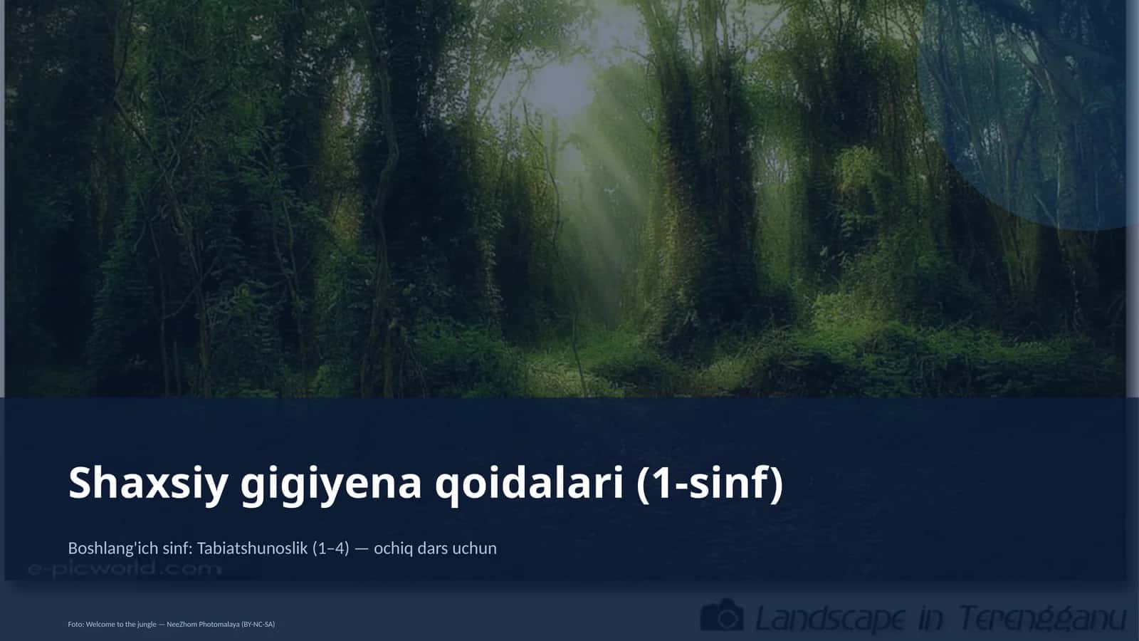 Shaxsiy gigiyena qoidalari (1-sinf) 1