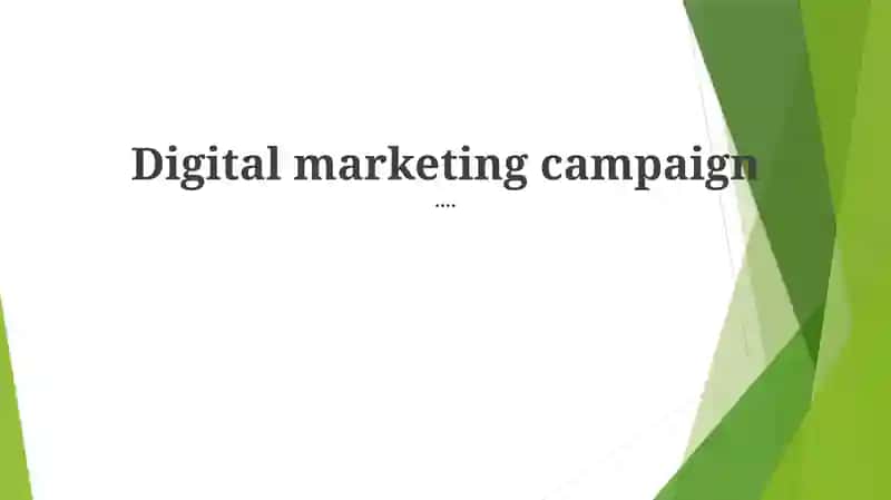 Digital Marketing Campaign Analysis