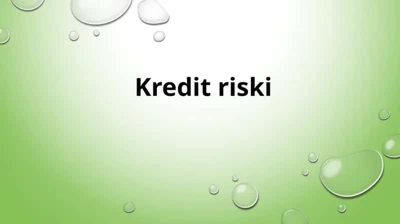 Kredit riski 1