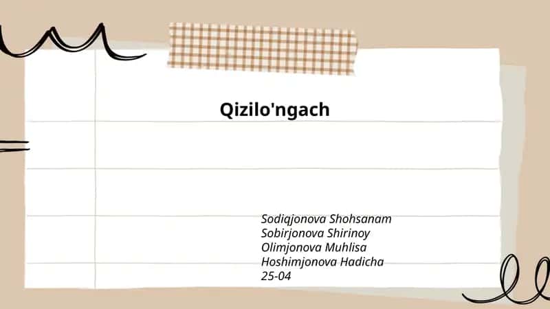 Qizilo'ngach 1