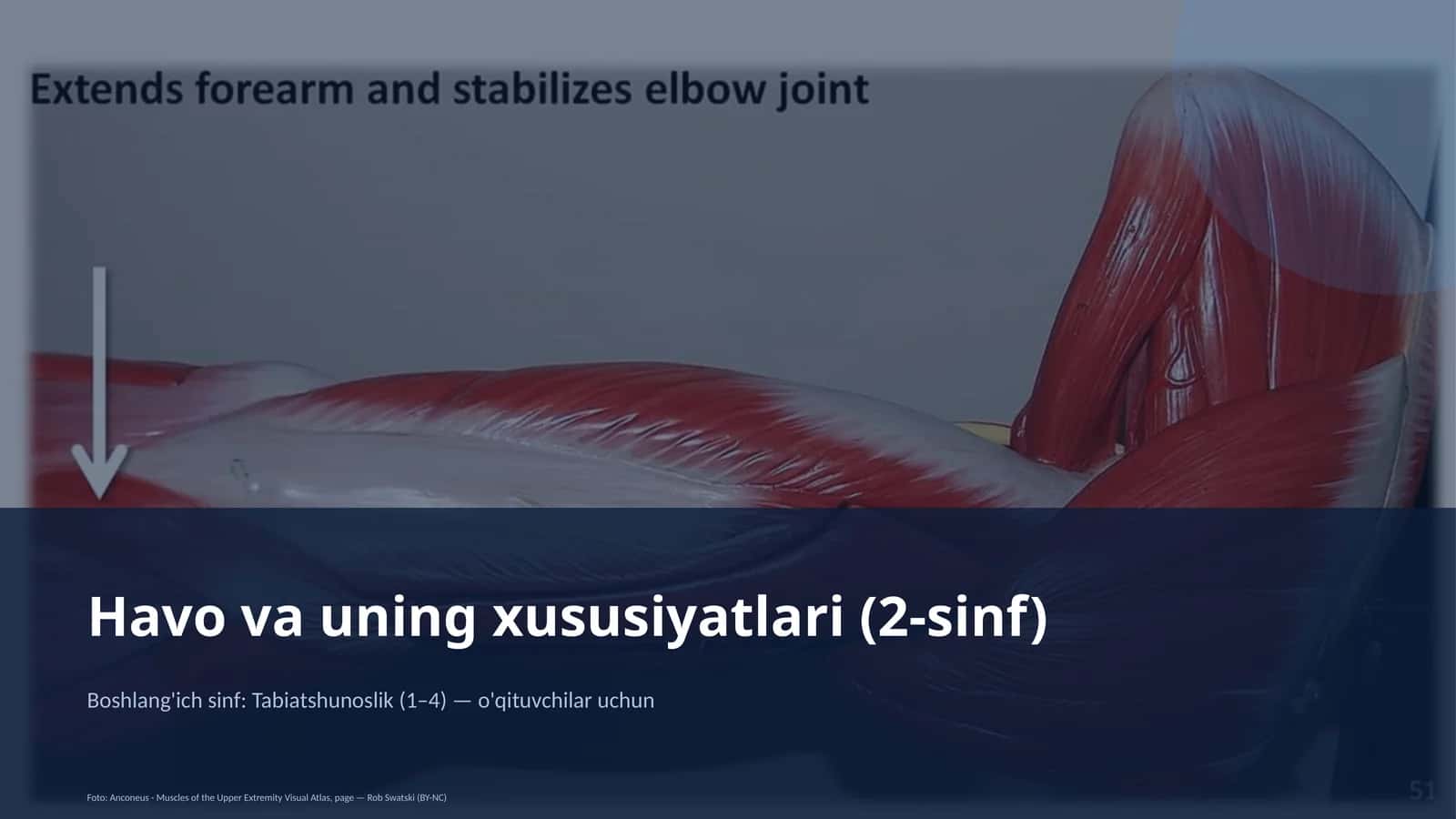 Havo va uning xususiyatlari (2-sinf) 1
