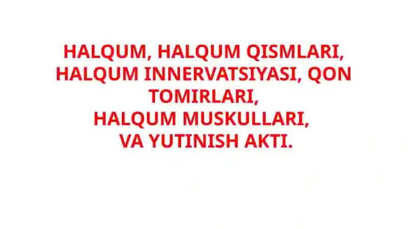 HALQUM, HALQUM QISMLARI, HALQUM INNERVATSIYASI, QON TOMIRLARI, HALQUM MUSKULLARI, VA YUTINISH AKTI.