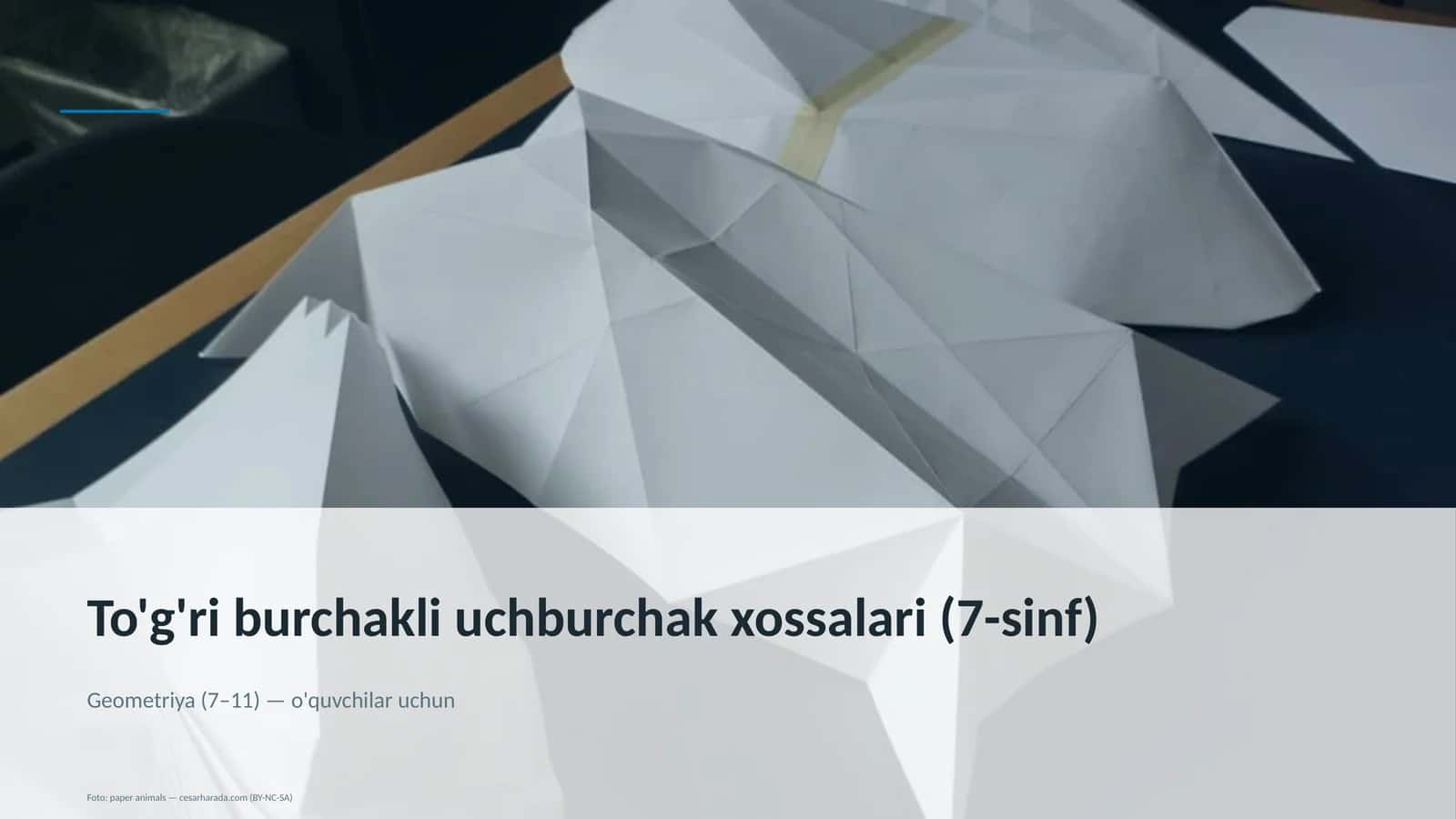 To'g'ri burchakli uchburchak xossalari (7-sinf) 1