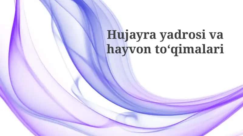 Hujayra yadrosi 1