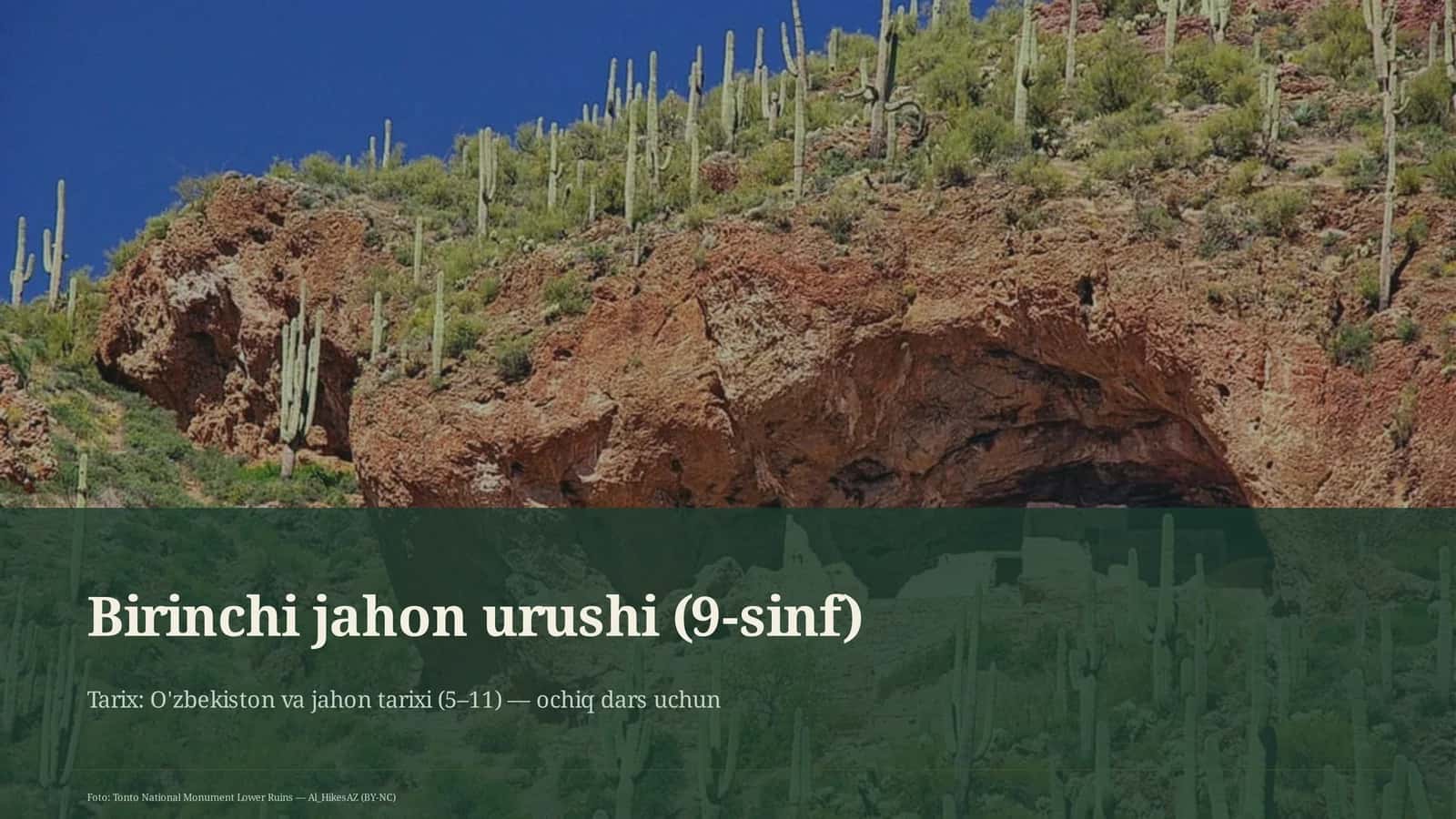 Birinchi jahon urushi (9-sinf) 1