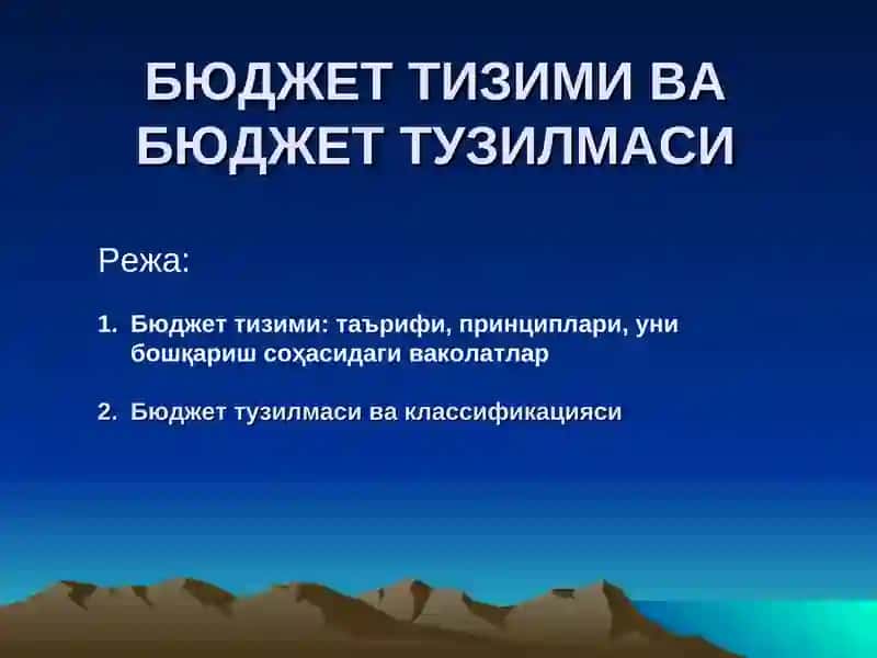 Бюджет тизими