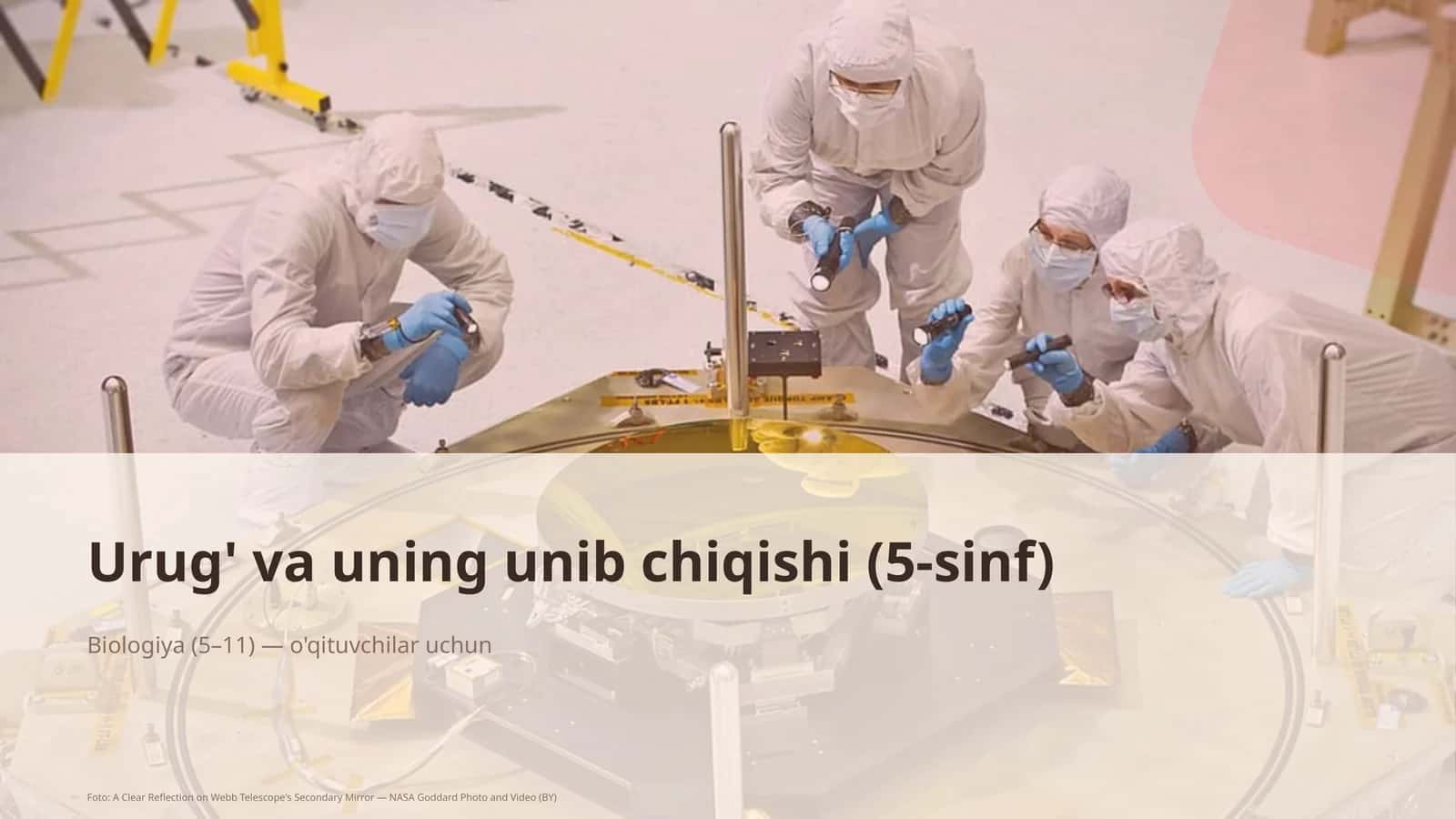 Urug' va uning unib chiqishi (5-sinf) 1