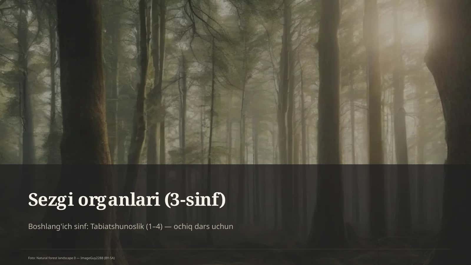 Sezgi organlari (3-sinf) 1
