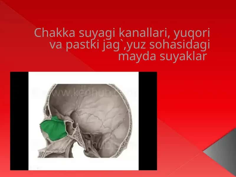 Chakka suyagi kanallari 1