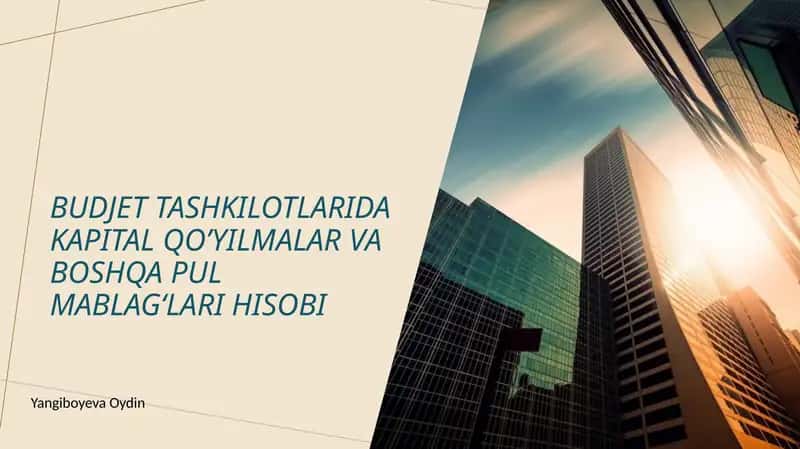 budjet tashkilotlarida kapital qo'yilmalar 1