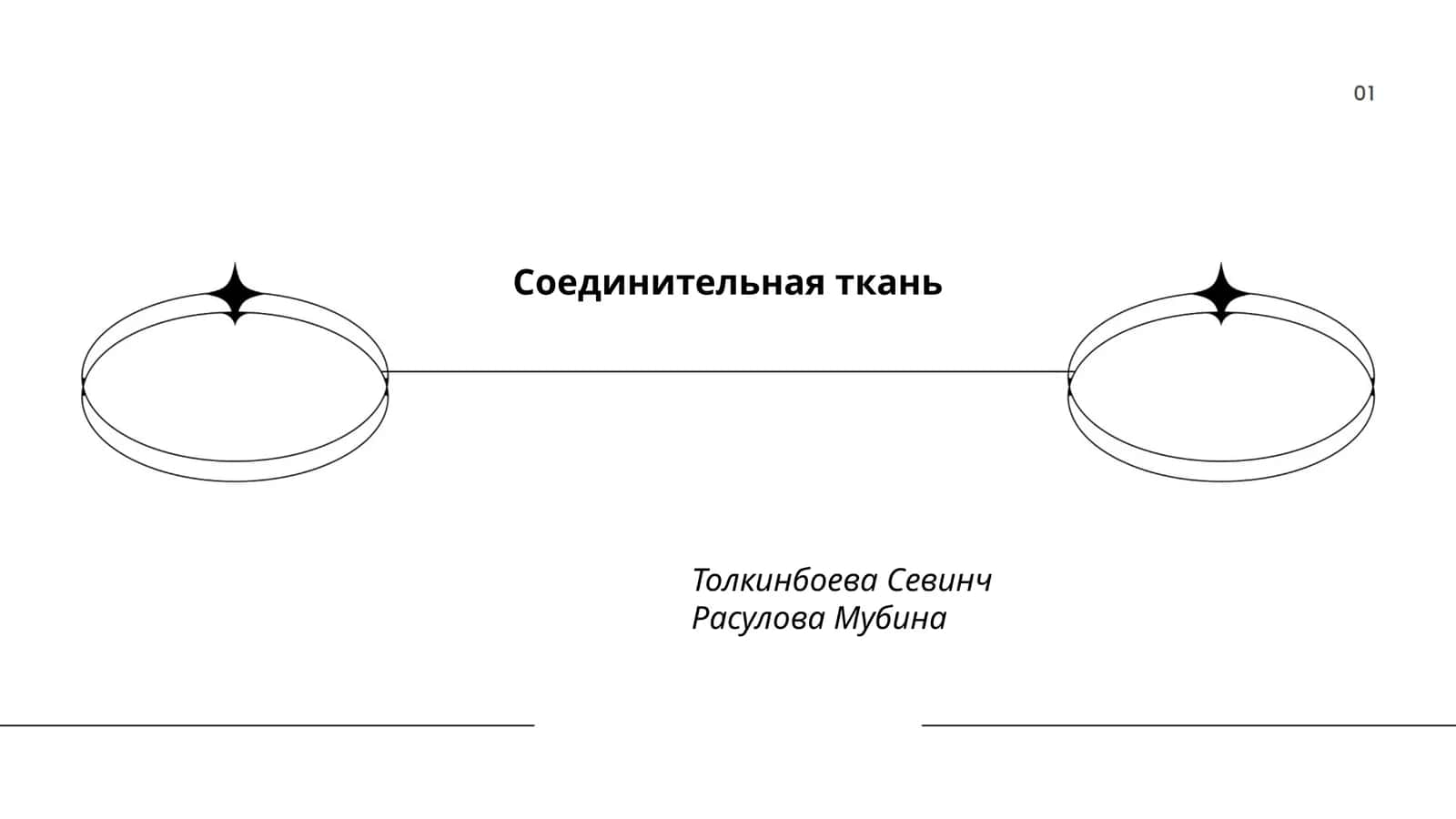 Соединительная ткань 1