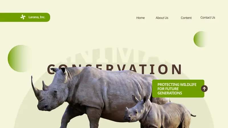 ANIMAL CONSERVATION 1
