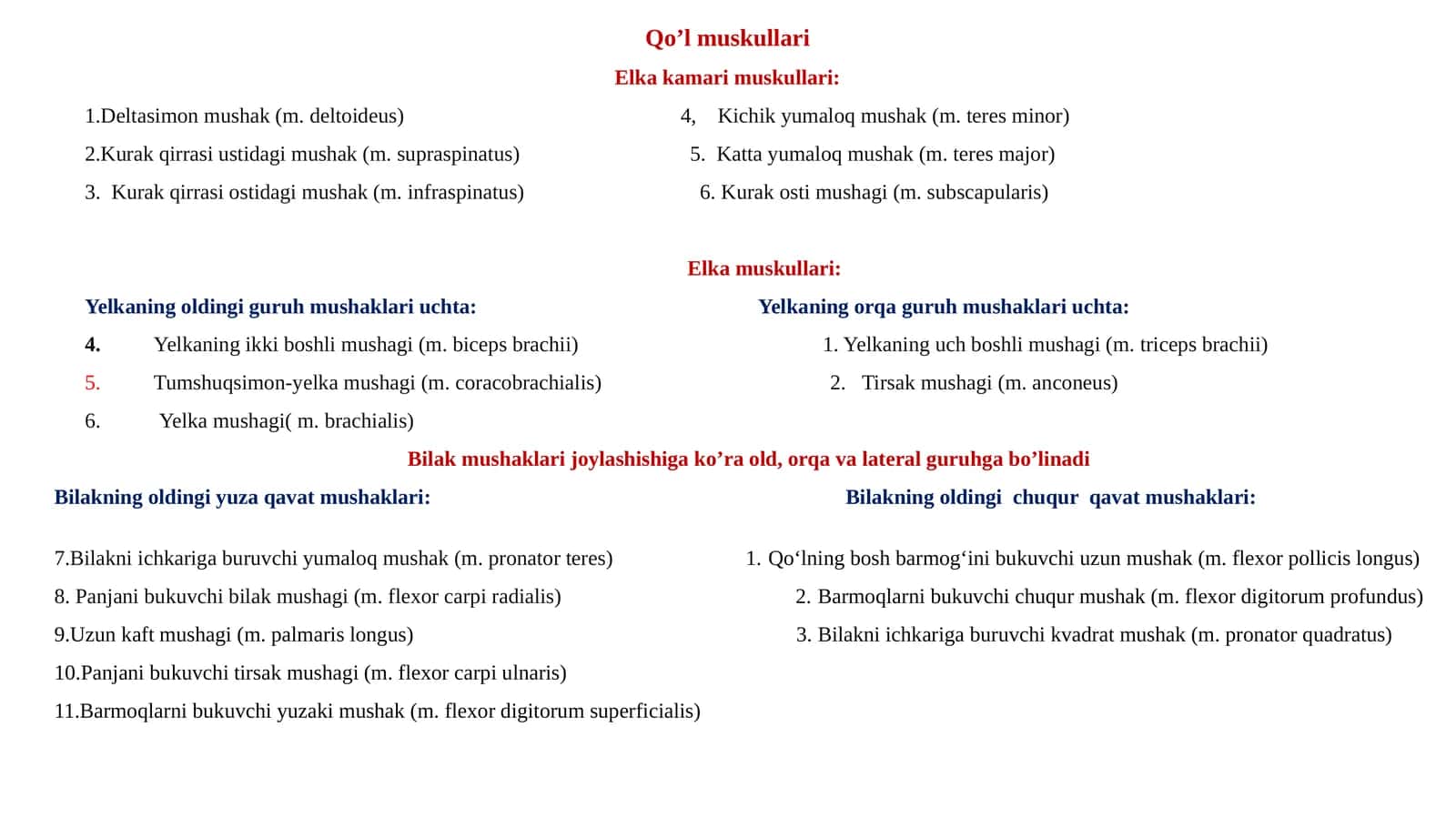 Qo’lmuskullari 1