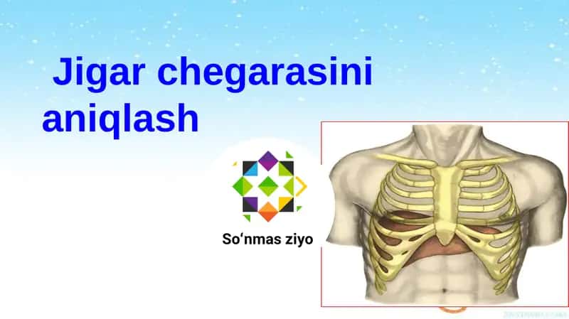 Jigar chegarasini aniqlash 1