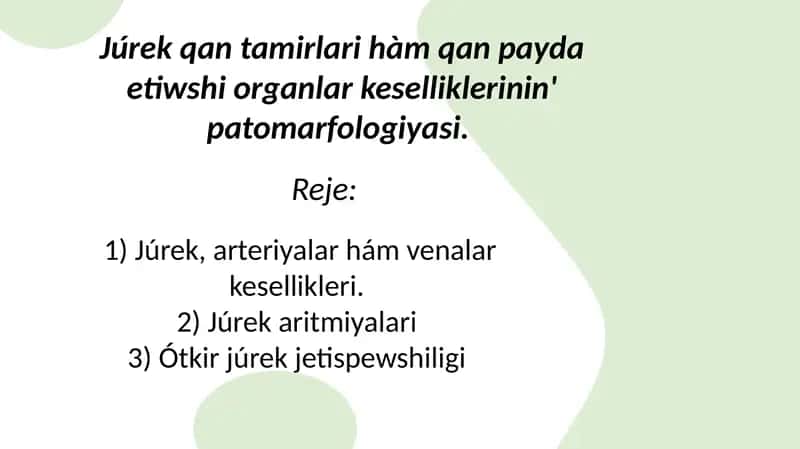 Júrek qan-tamır sistemasi kesellikleri patomorfologiyasi 1