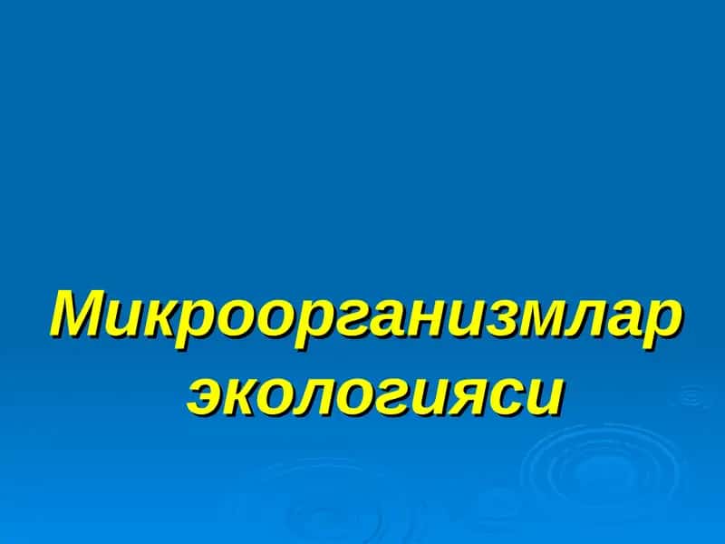 Микроорганизмлар экологияси 1
