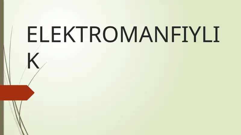 Elektromanfiylik 1