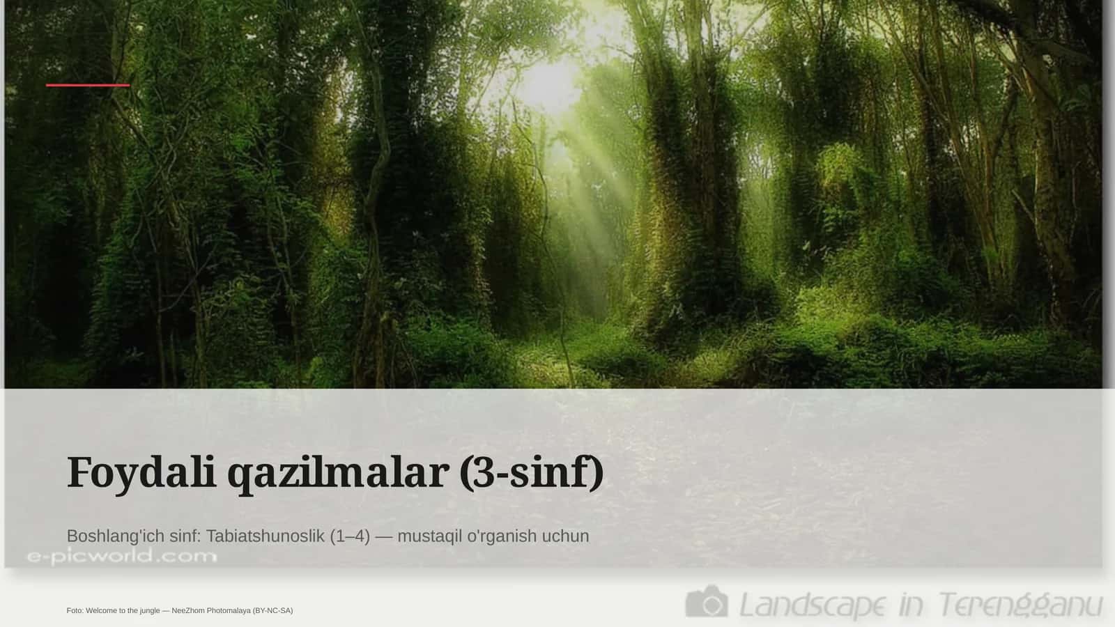 Foydali qazilmalar (3-sinf) 1