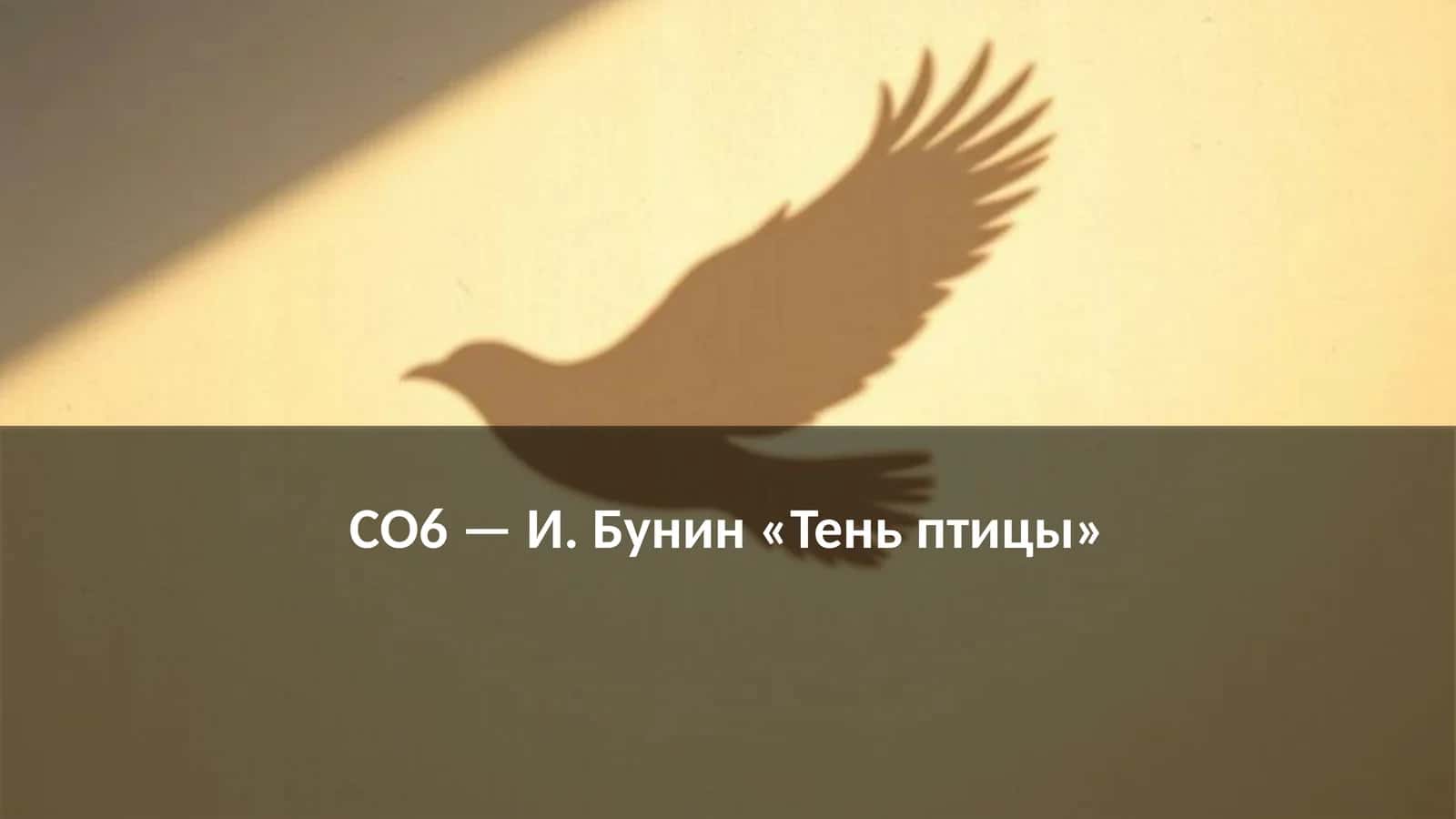 И. Бунин «Тень птицы» 1