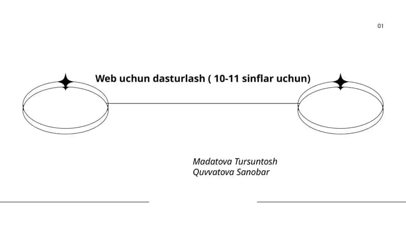 Web uchun dasturlash ( 10-11 sinflar uchun) 1