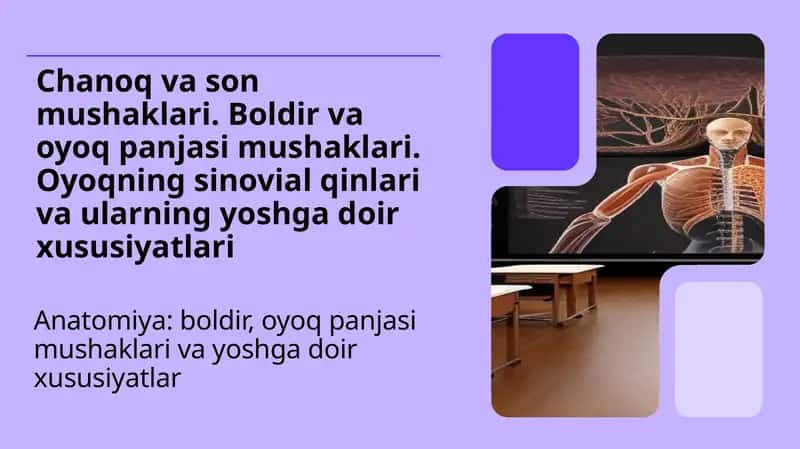 Chanoq va son mushaklari. Boldir va oyoq panjasi mushaklari. Oyoqning sinovial qinlari va ularning yoshga doir xususiyatlari 1