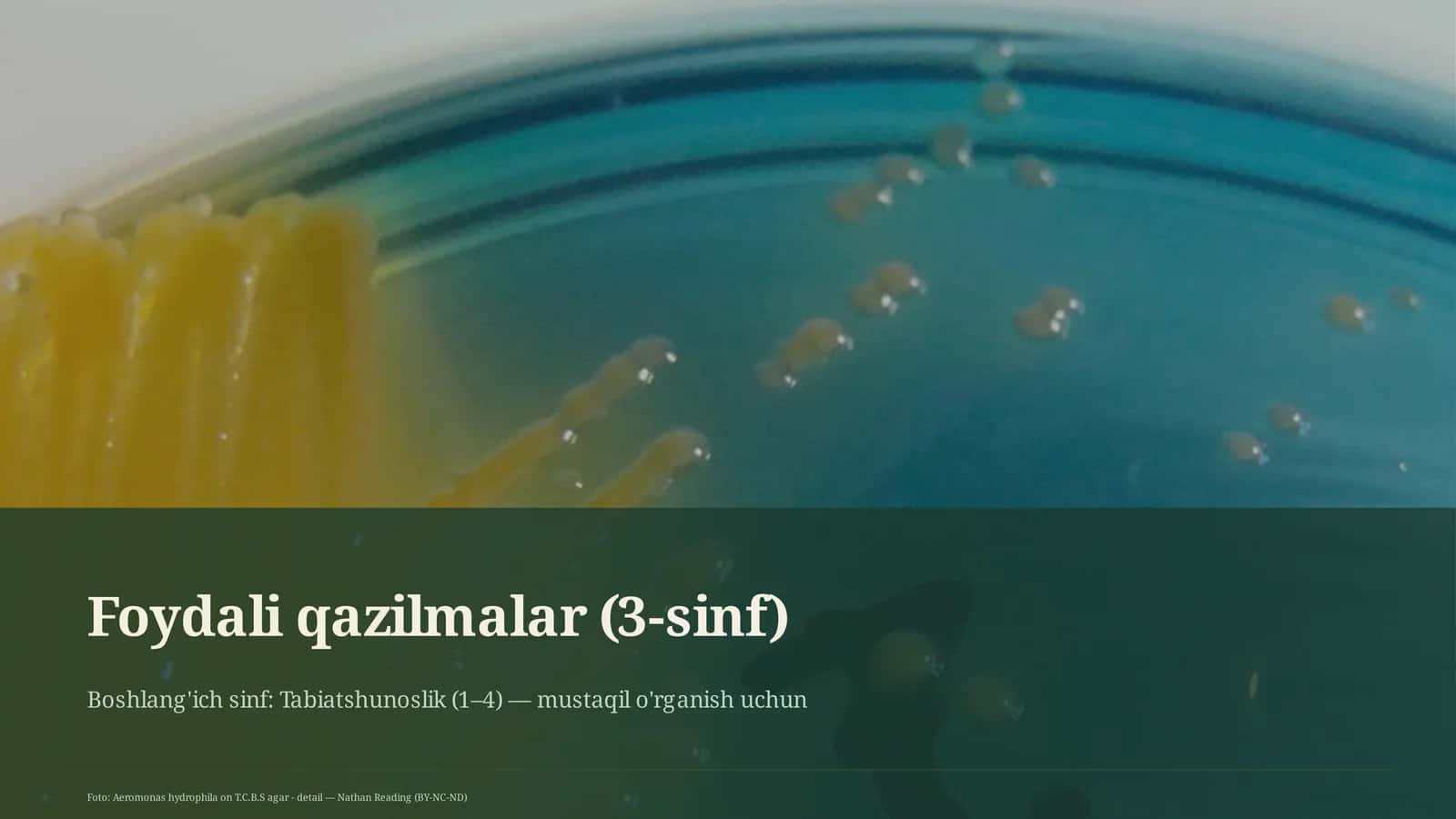 Foydali qazilmalar (3-sinf) 1
