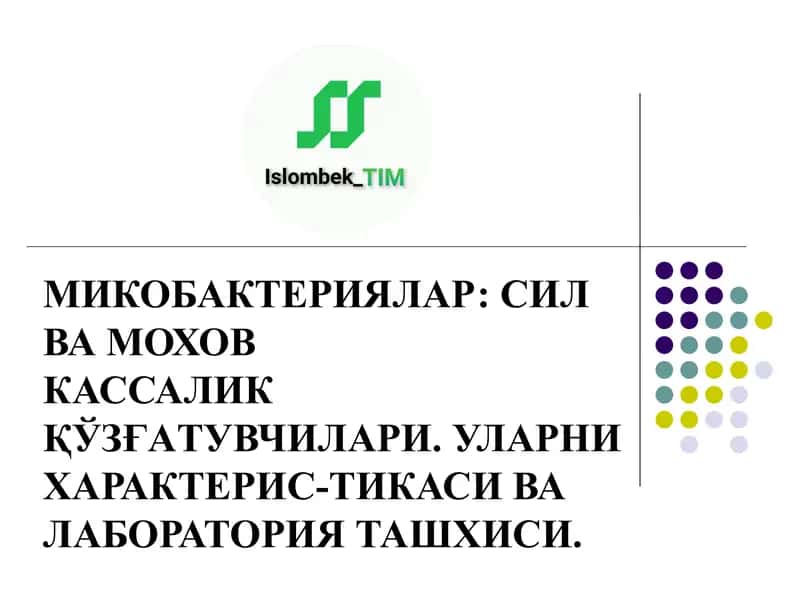 МИКОБАКТЕРИЯЛАР: СИЛ ВА МОХОВ КАССАЛИК ҚЎЗҒАТУВЧИЛАРИ. УЛАРНИ ХАРАКТЕРИС-ТИКАСИ ВА ЛАБОРАТОРИЯ... 1