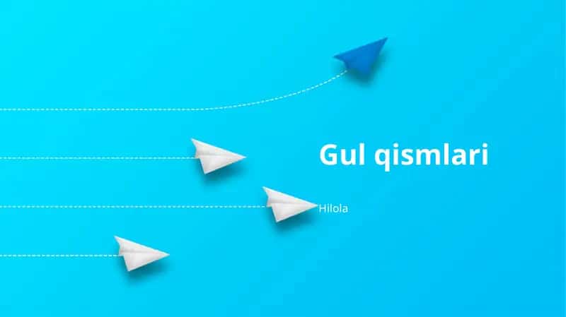 Gullar tuzilishi 1