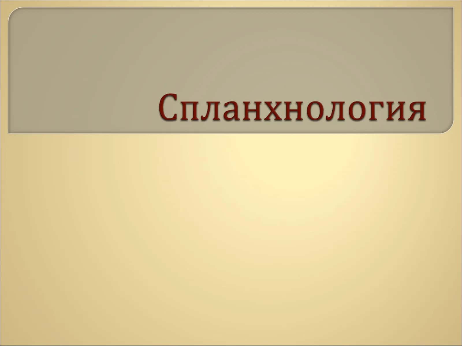 Спланхнология 1