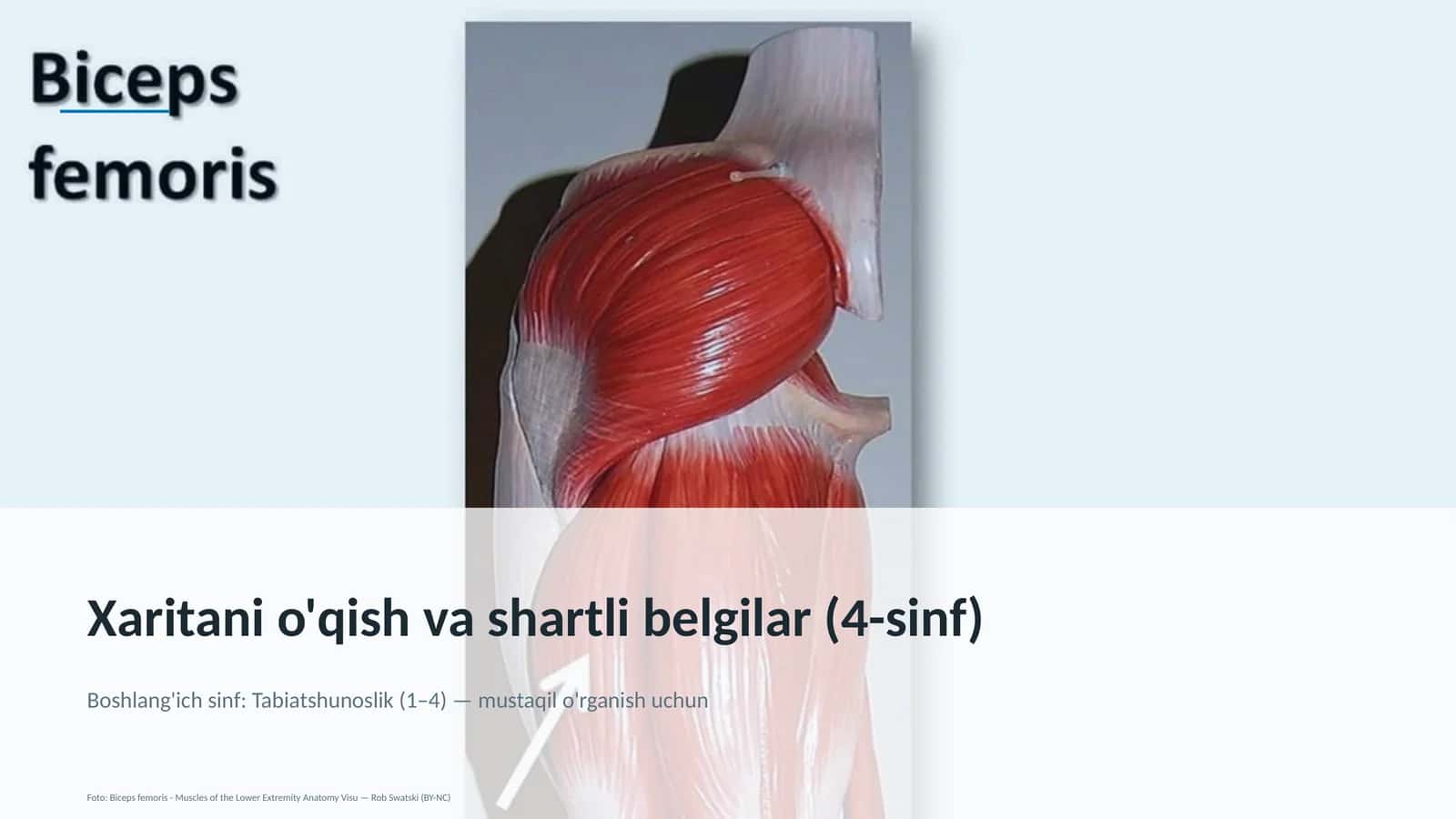 Xaritani o'qish va shartli belgilar (4-sinf) 1