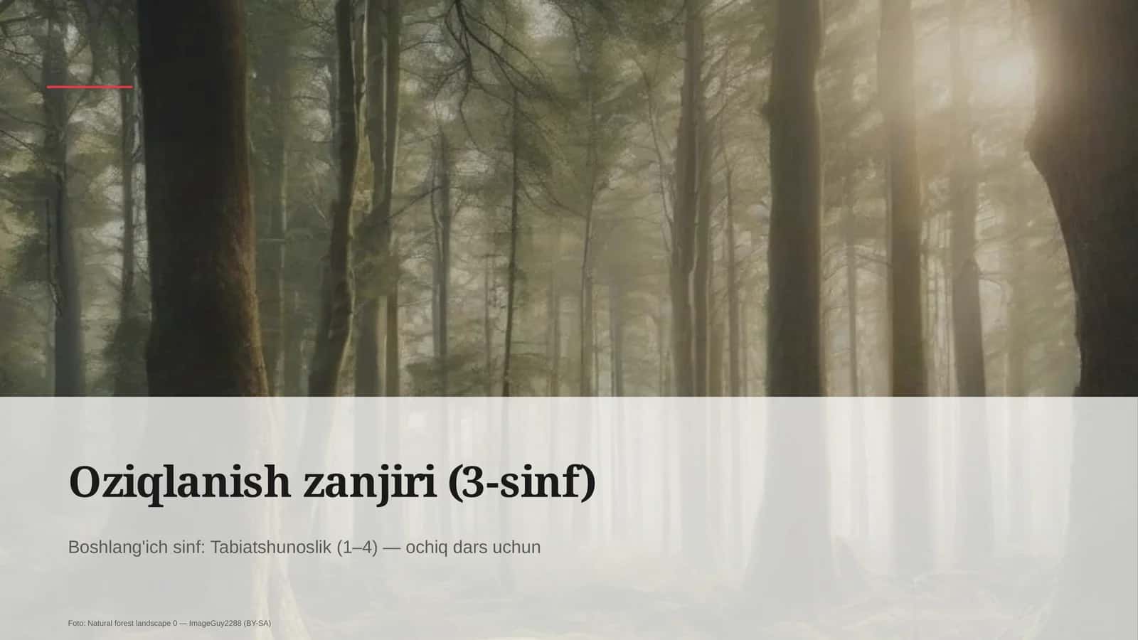 Oziqlanish zanjiri (3-sinf) 1