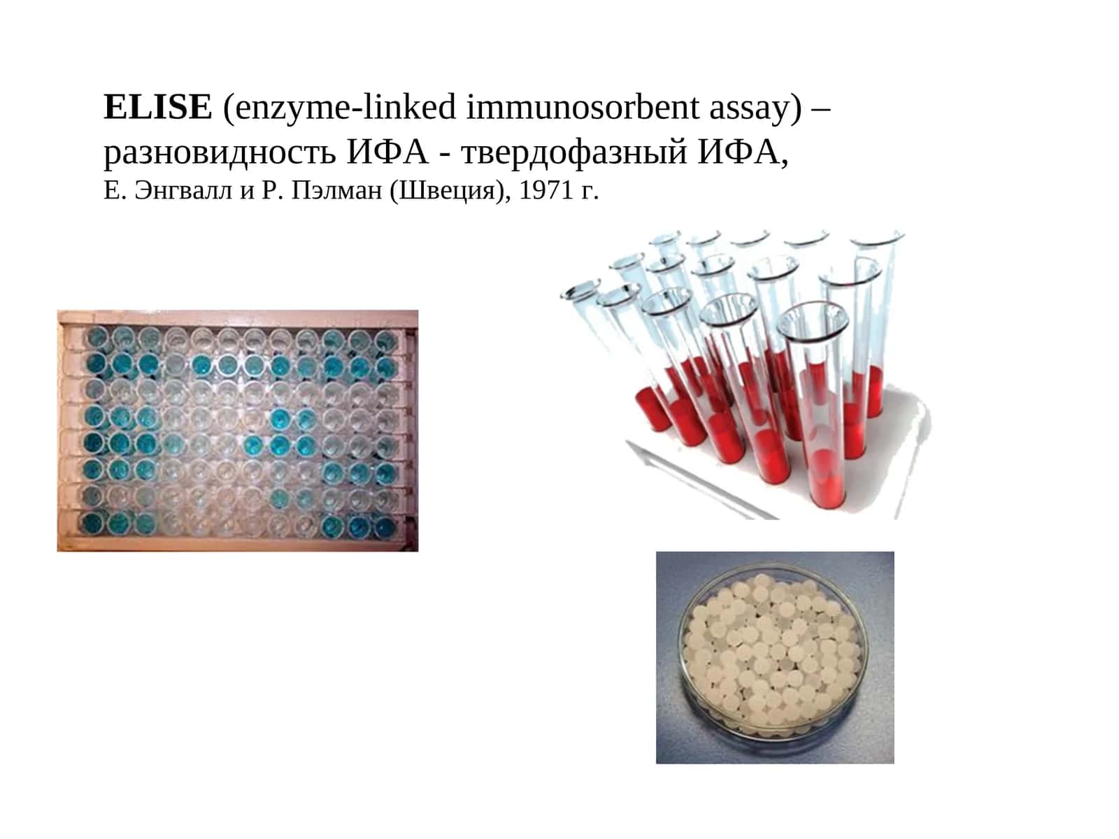 ELISE(enzyme-linked immunosorbent assay) 1