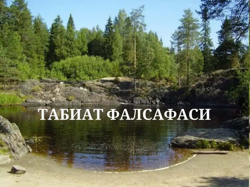 ТАБИАТ ФАЛСАФАСИ 1