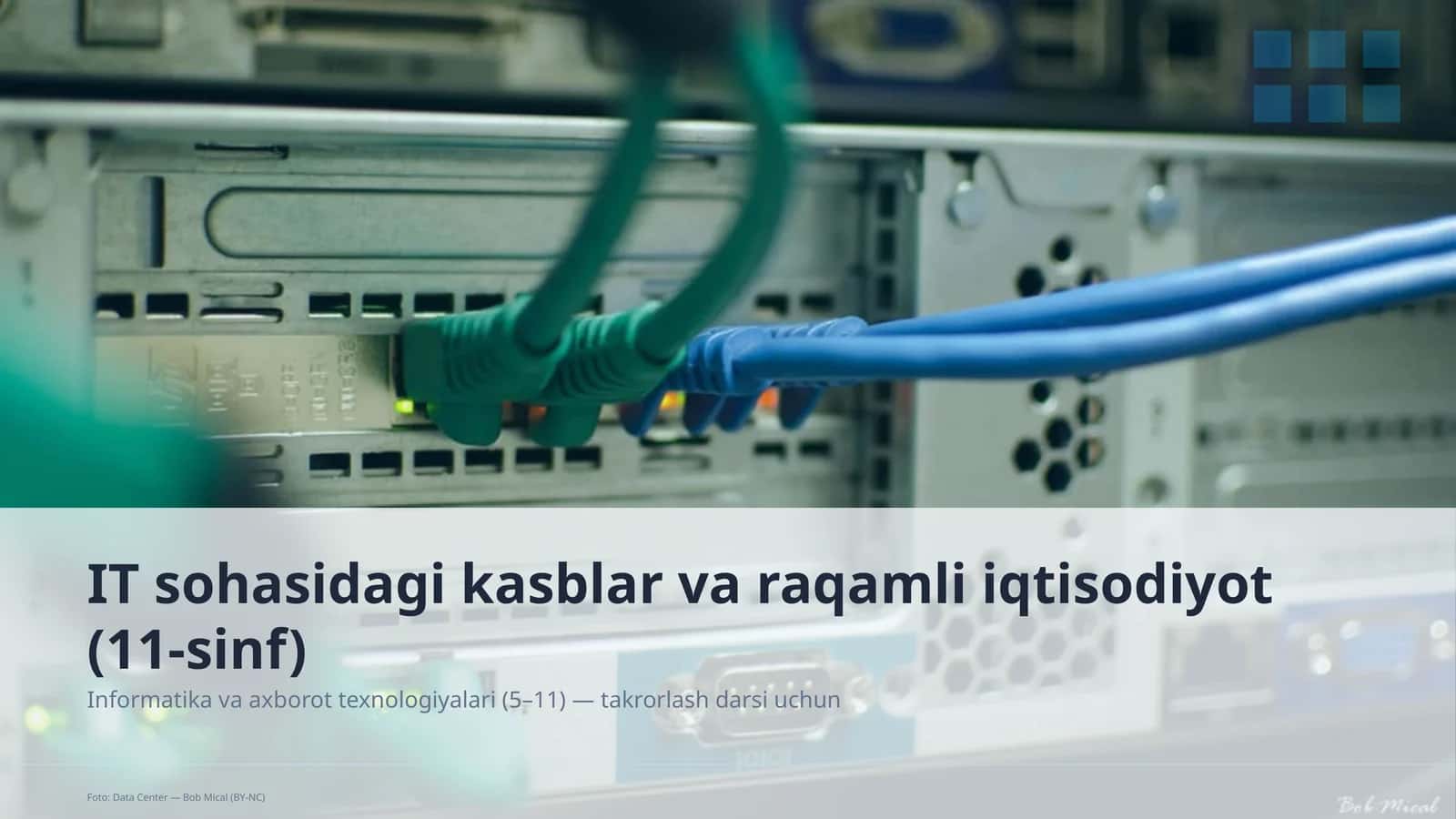 IT sohasidagi kasblar va raqamli iqtisodiyot (11-sinf) 1