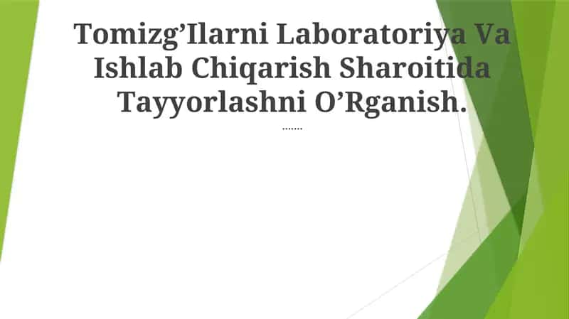 Tomizg'Ilarni Laboratoriya Va Ishlab Chiqarish Sharoitida Tayyorlashni O'Rganish 1