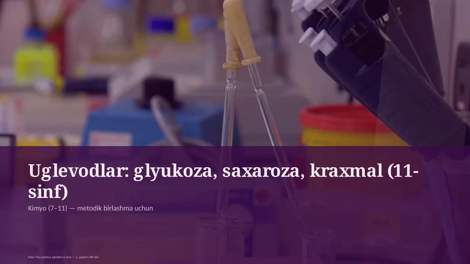 Uglevodlar: glyukoza, saxaroza, kraxmal (11-sinf) 1