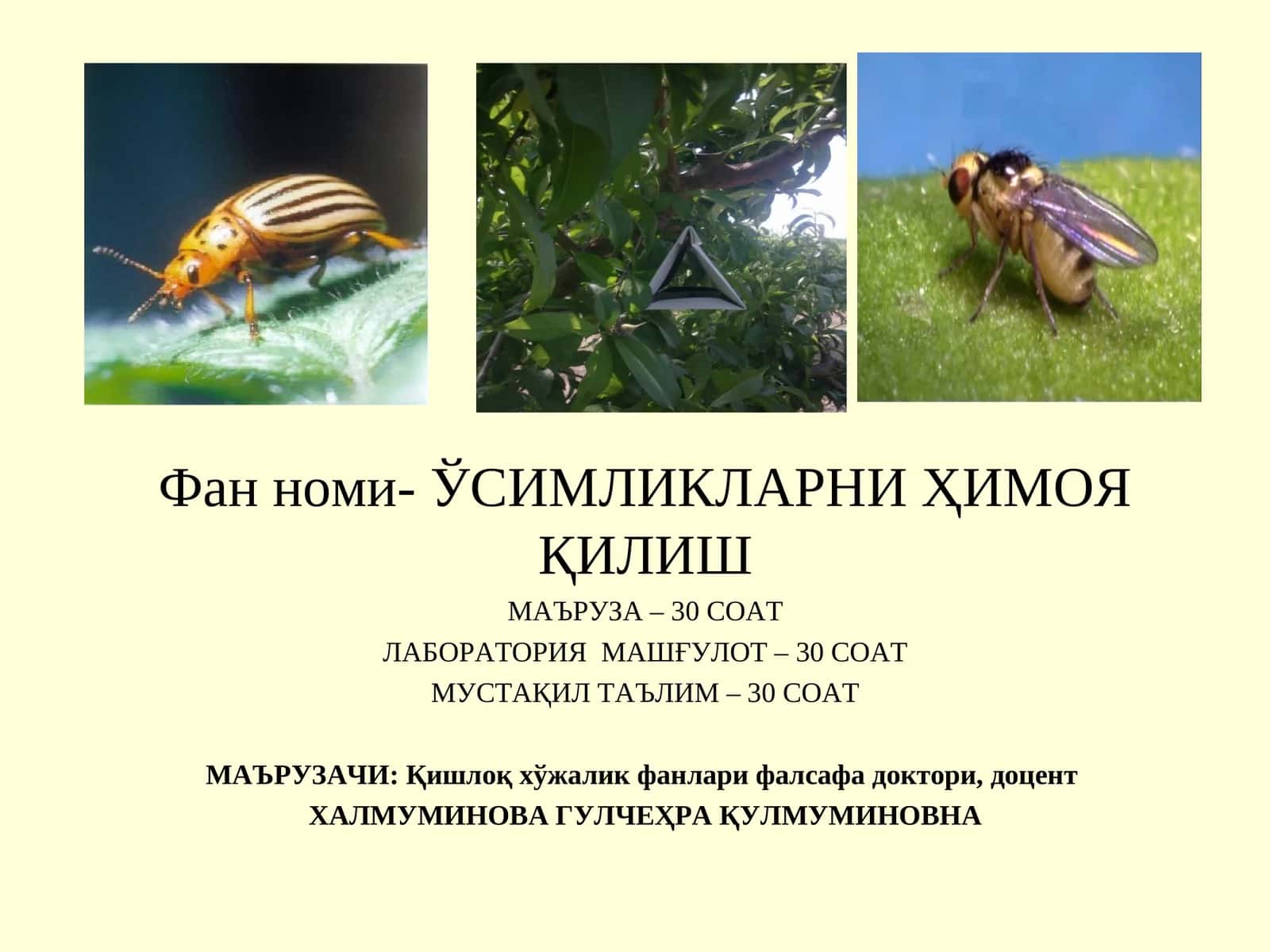 Ўсимликларни кимёвий ҳимоя қилиш 1