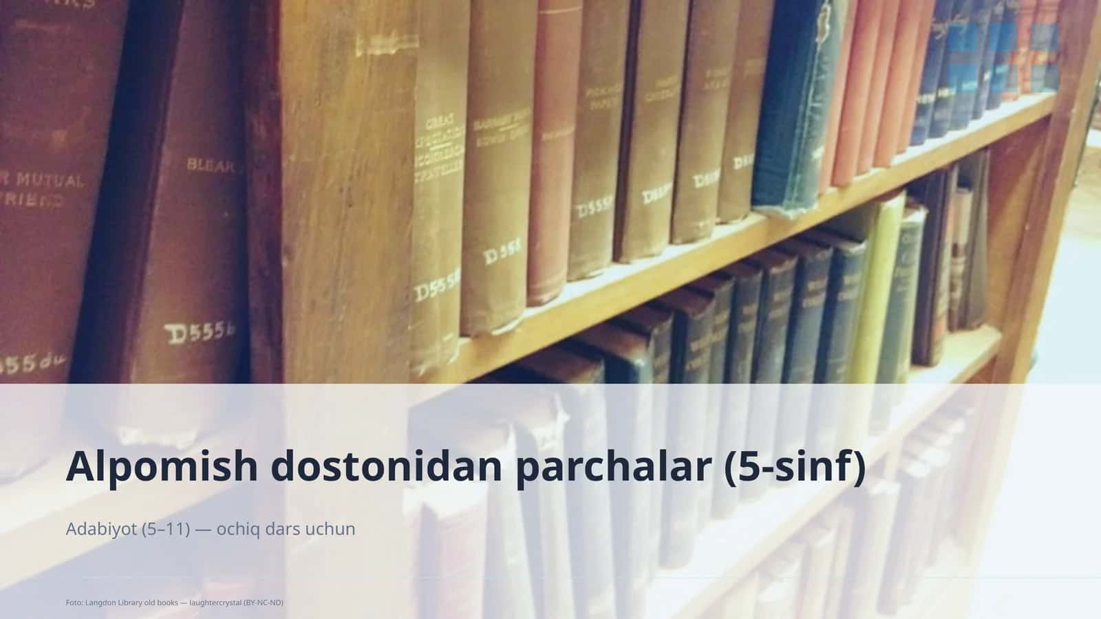 Alpomish dostonidan parchalar (5-sinf) 1