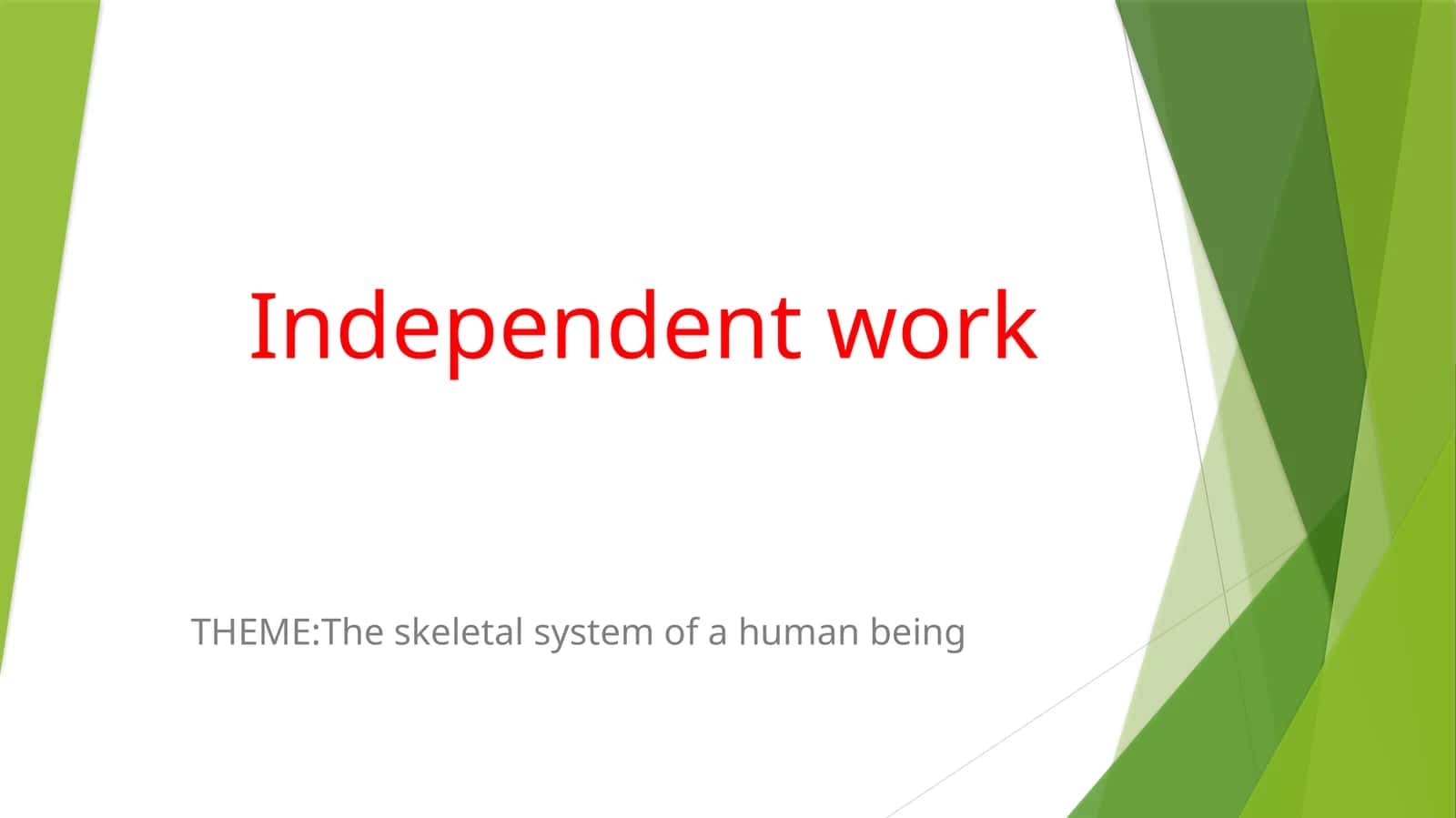 The skeletal system of a human being 1