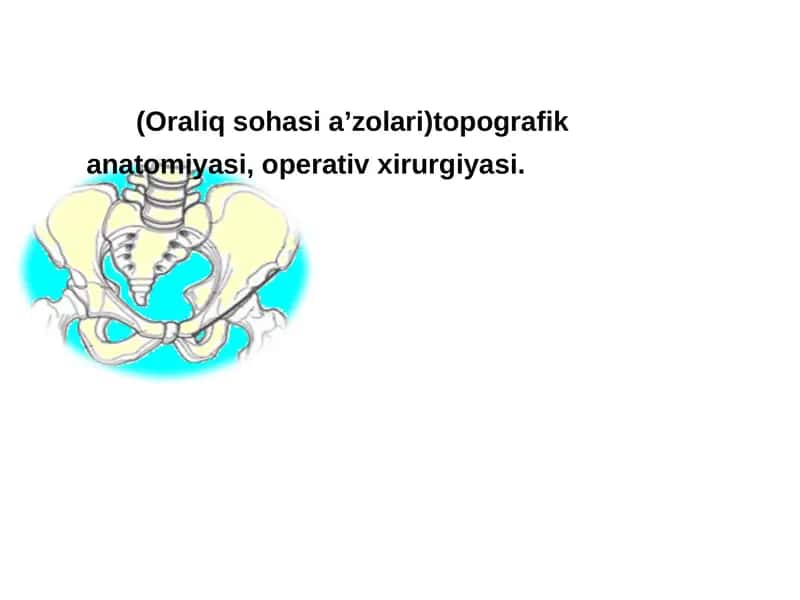 Оралиқ топографик анатомияси 1