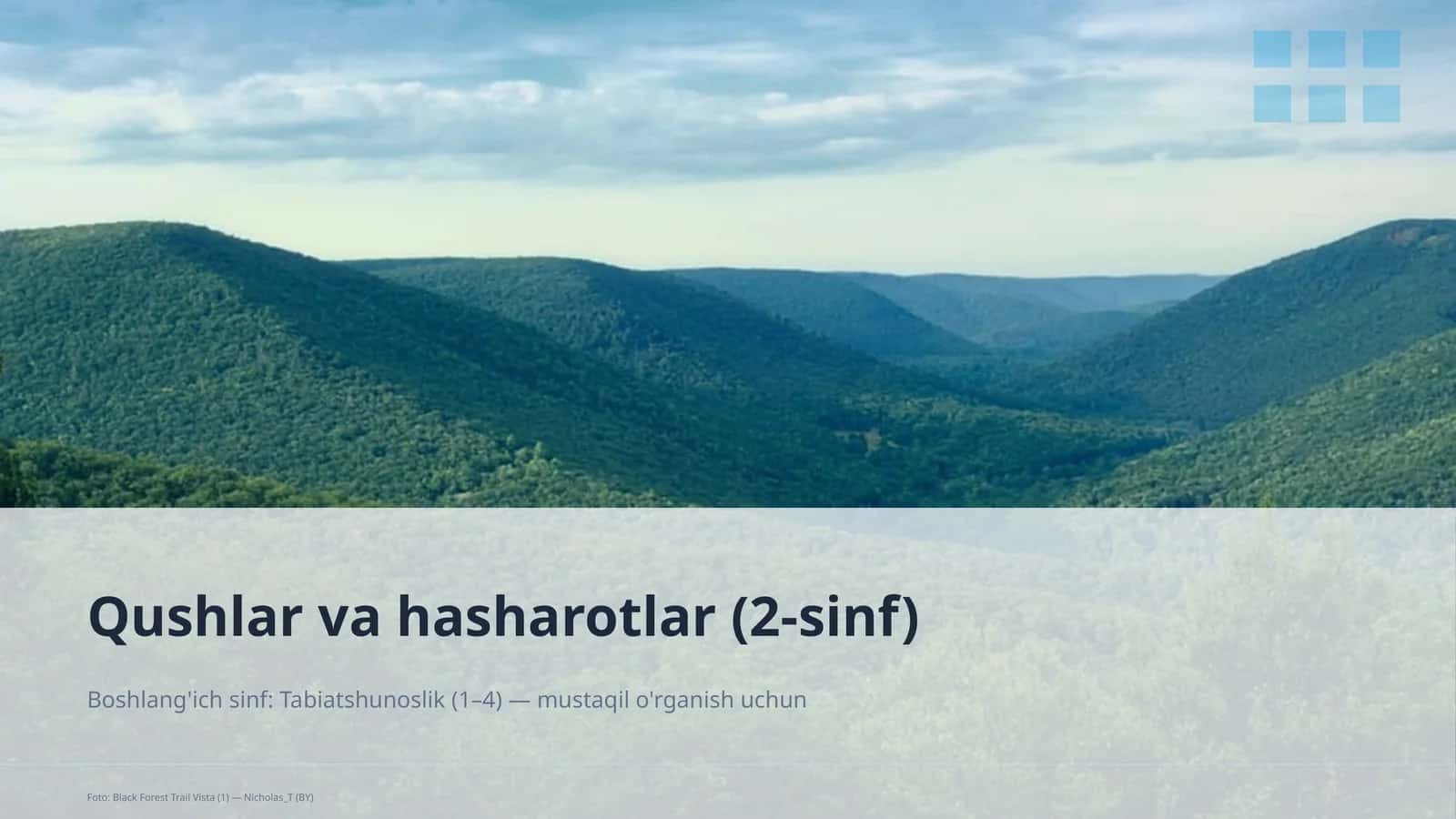 Qushlar va hasharotlar (2-sinf) 1