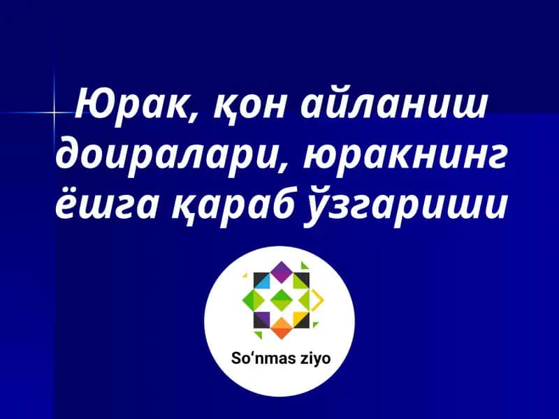Юрак, қон айланиш доиралари, юракнинг ёшга қараб ўзгариши 1