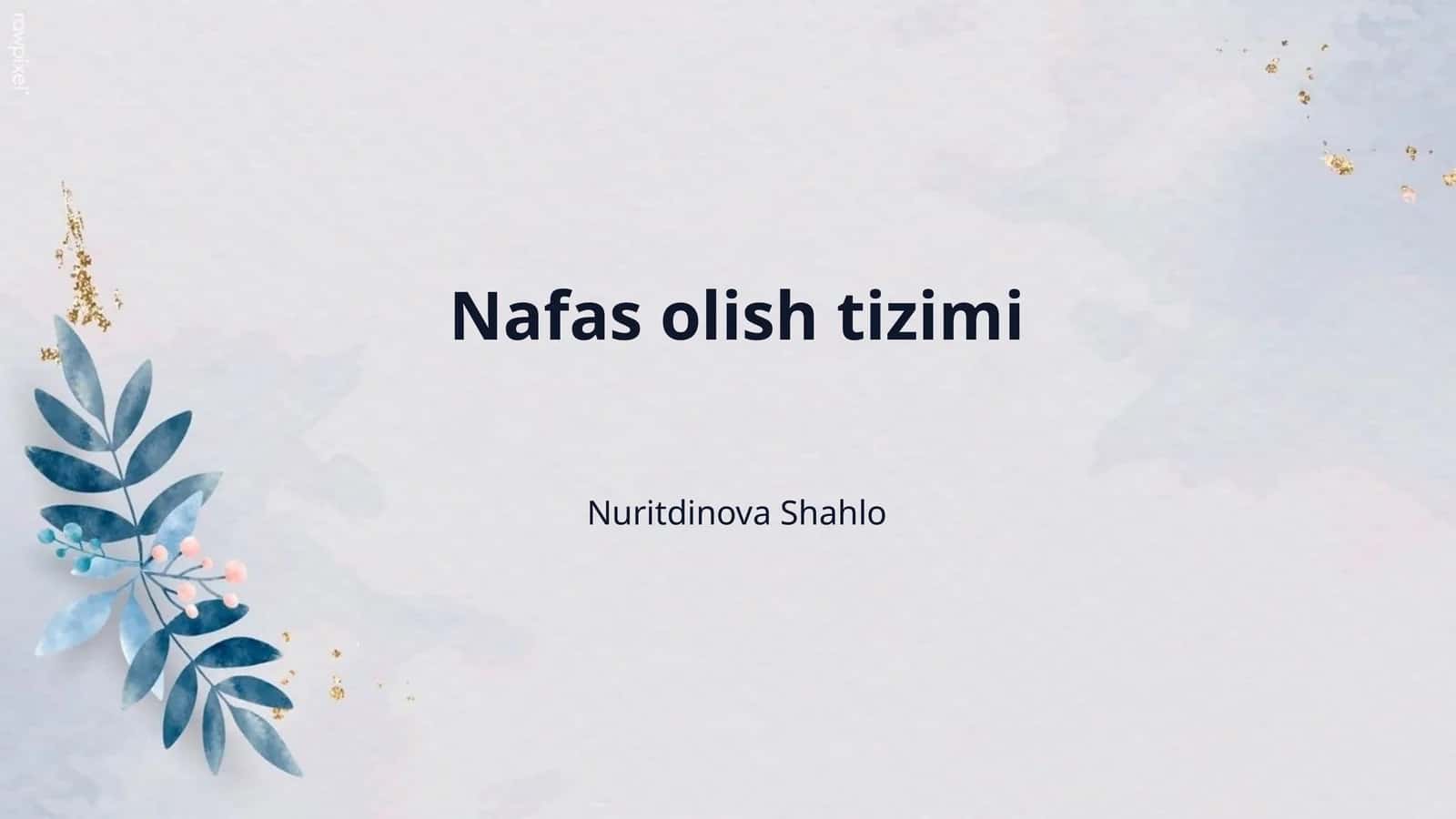 Nafas olish tizimi 1