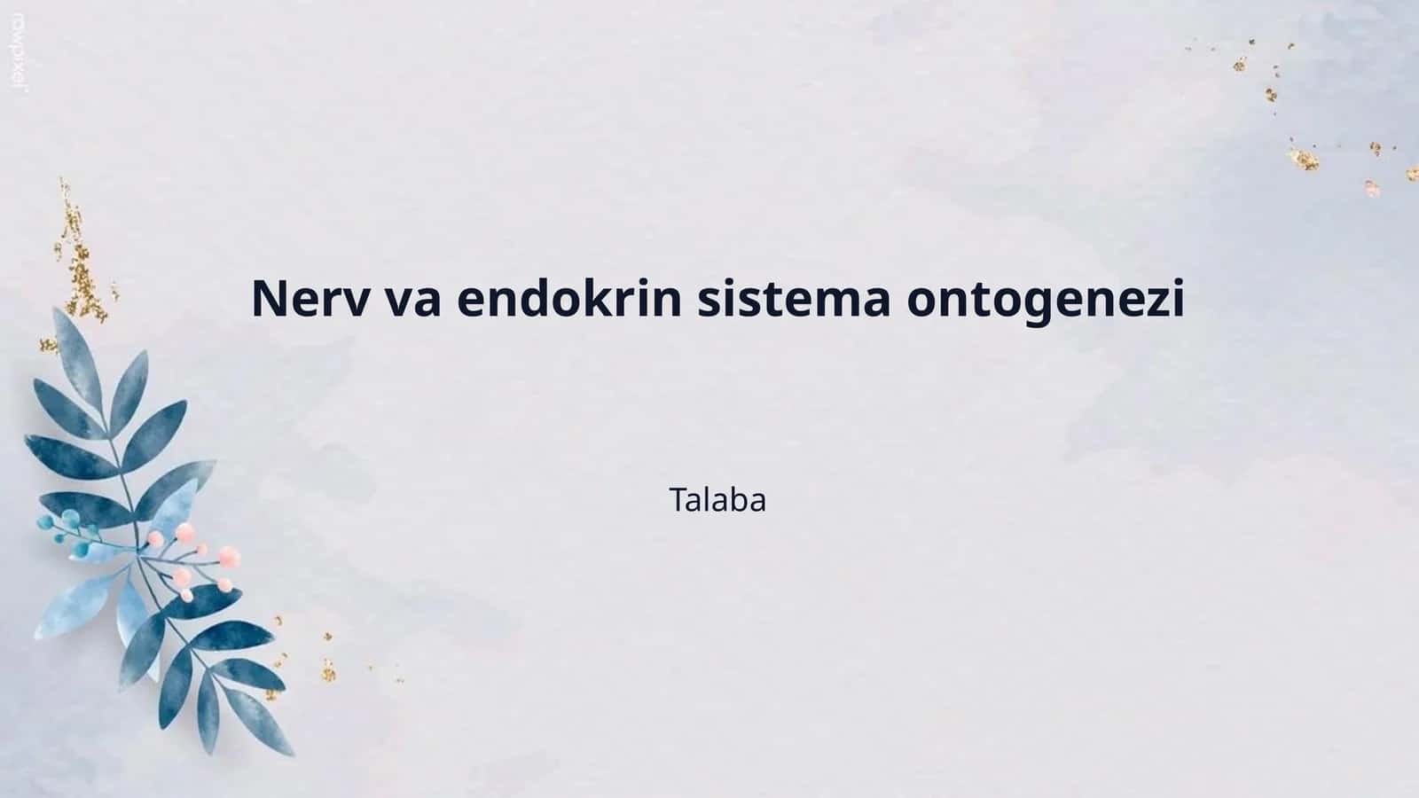 Nerv va endokrin sistema ontogenezi 1