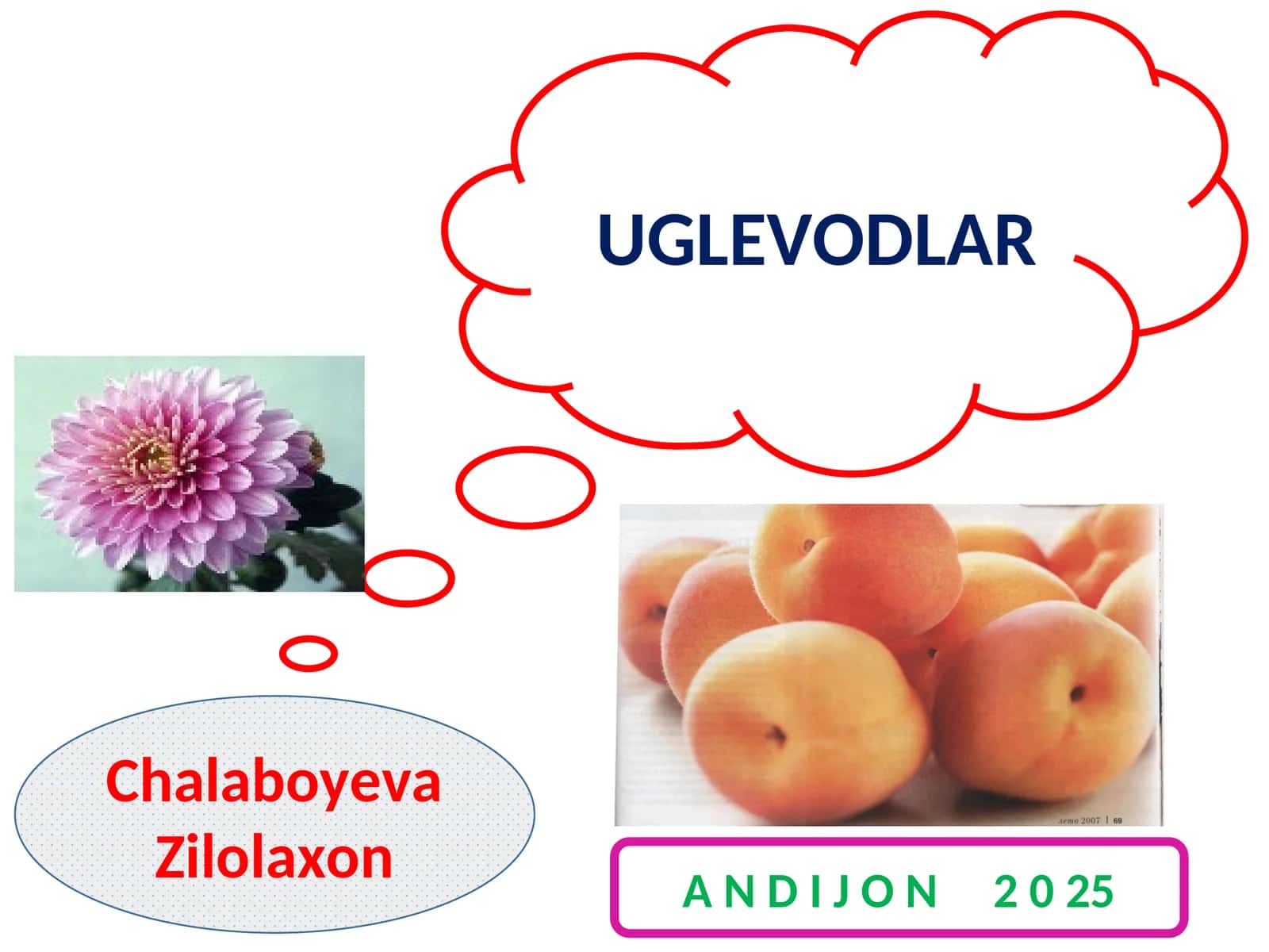 UGLEVODLAR 1