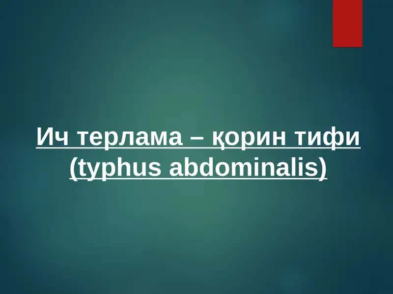 Ич терлама –қорин тифи (typhus abdominalis) 1