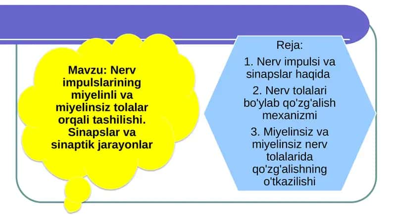 Sinaps sinaptik uchlar 1
