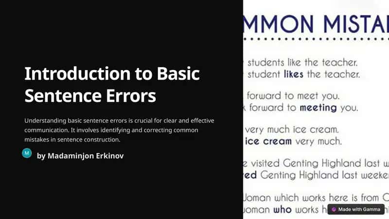 Introduction to Basic Sentence Errors 1