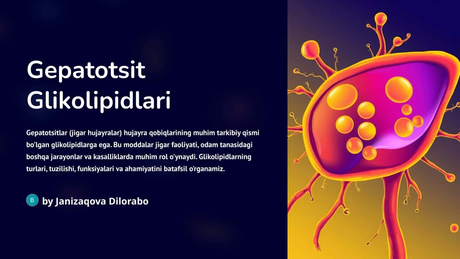 Gepatotsit Glikolipidlari 1
