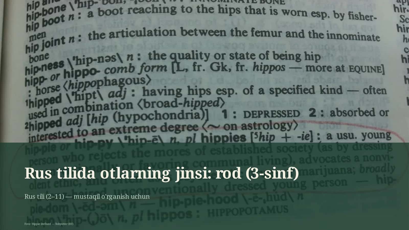 Rus tilida otlarning jinsi: rod (3-sinf) 1